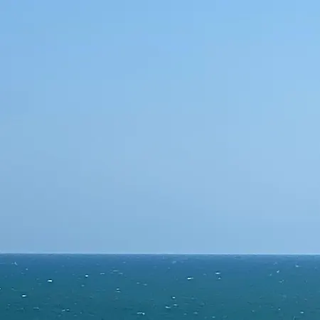 Virgo Summer Land *
